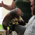 Predator Demonstration